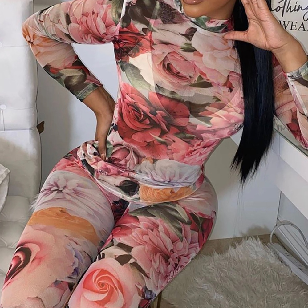 Mesh set